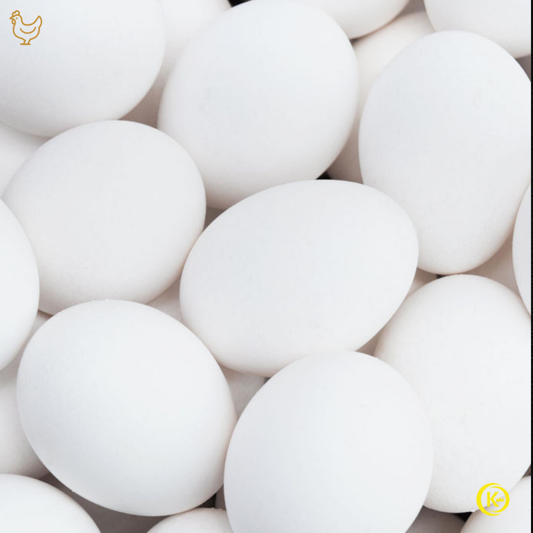 Huevo Blanco